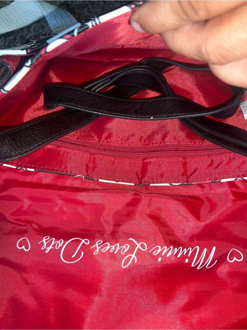 Handbag bundle (read description) - Picture 6 of 6